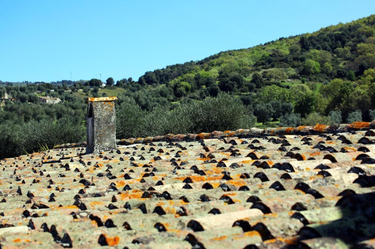 Masseria Procacci Ischitella Exterior foto